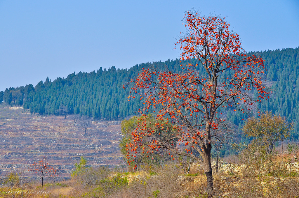 DSC_0018.JPG