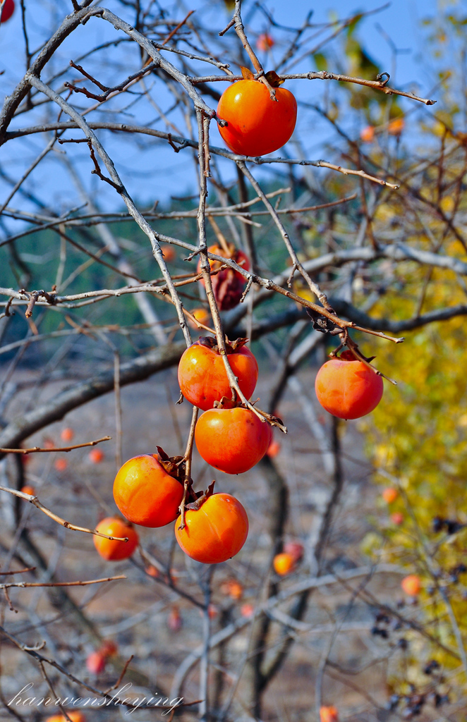 DSC_0015.JPG