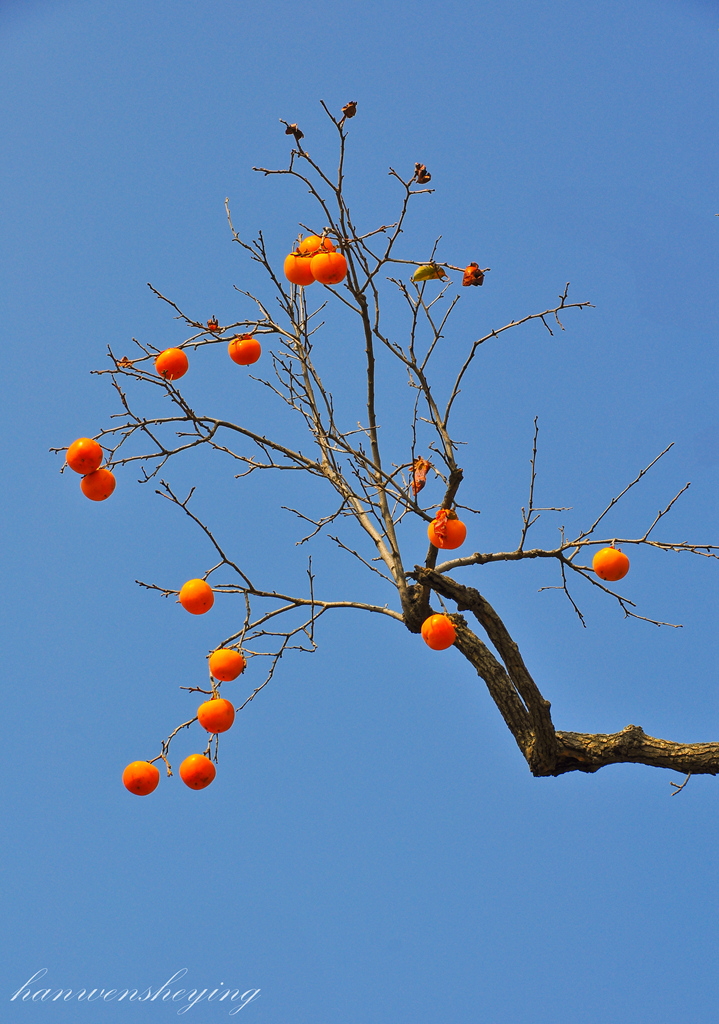 DSC_0024.JPG