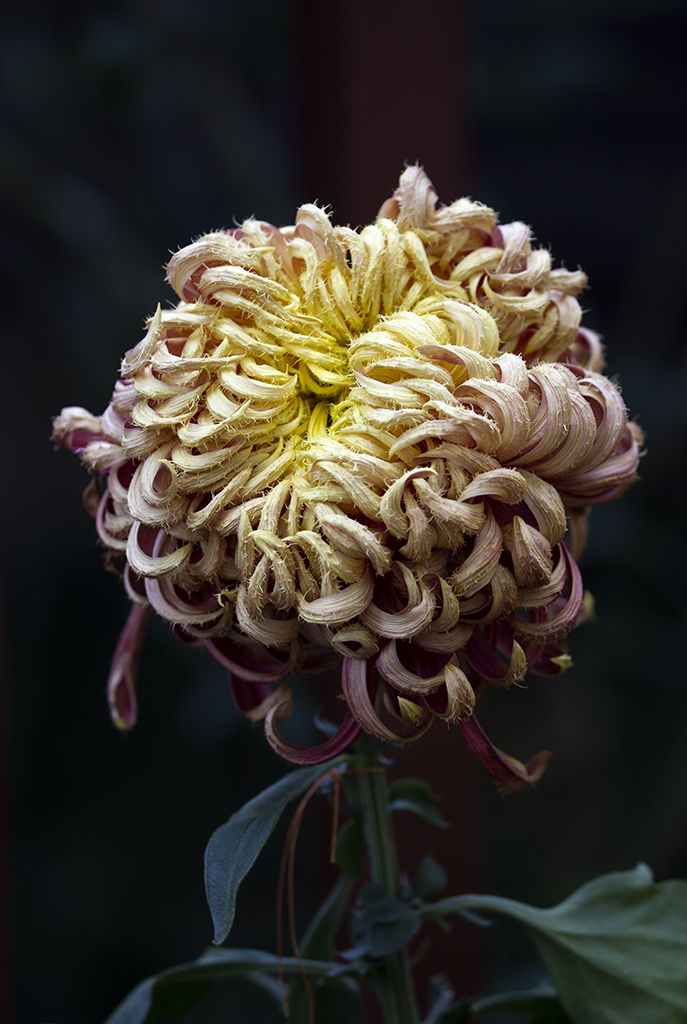 AS8E8948.jpg
