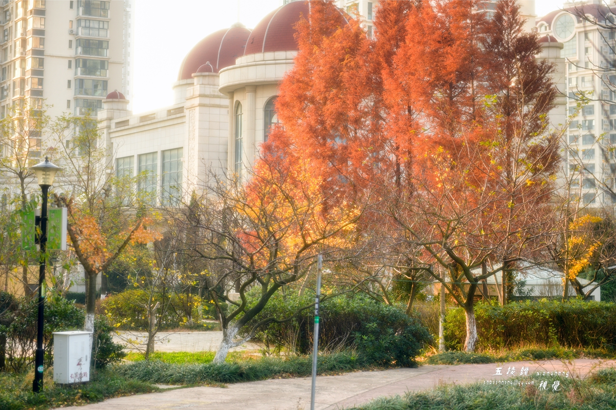 DSC_5142.JPG