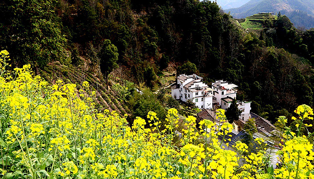 IMG_1956_10石潭村.jpg