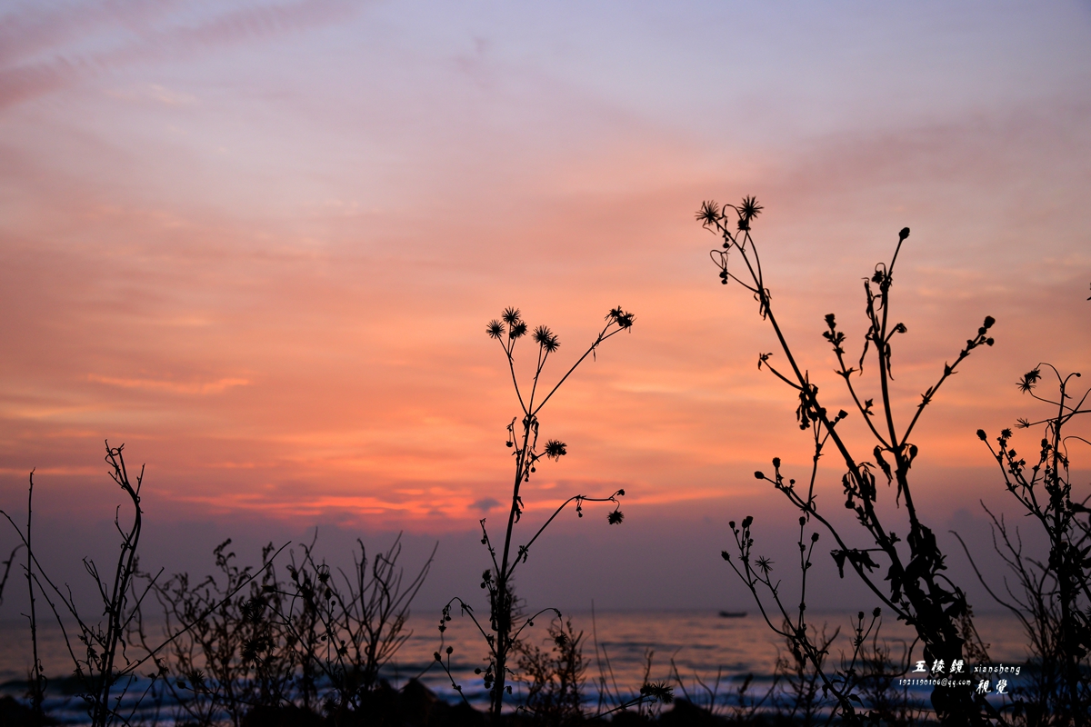 DSC_5784.JPG