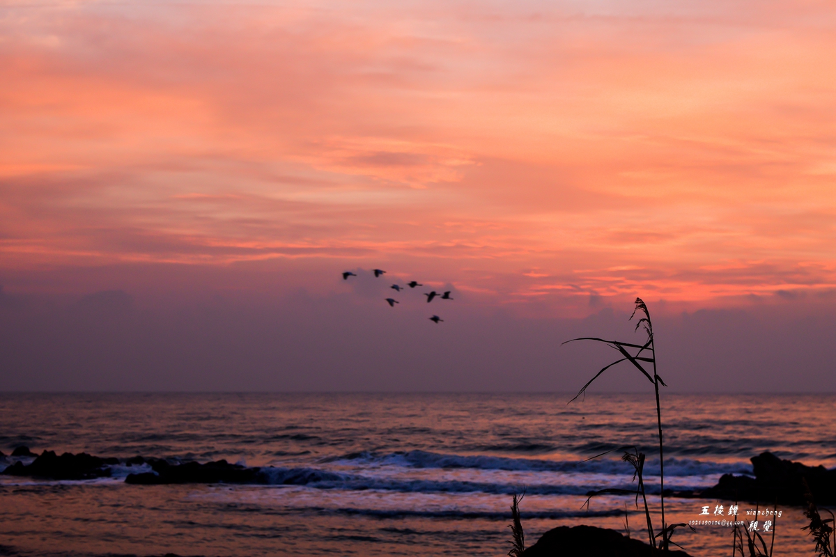 DSC_5779.JPG