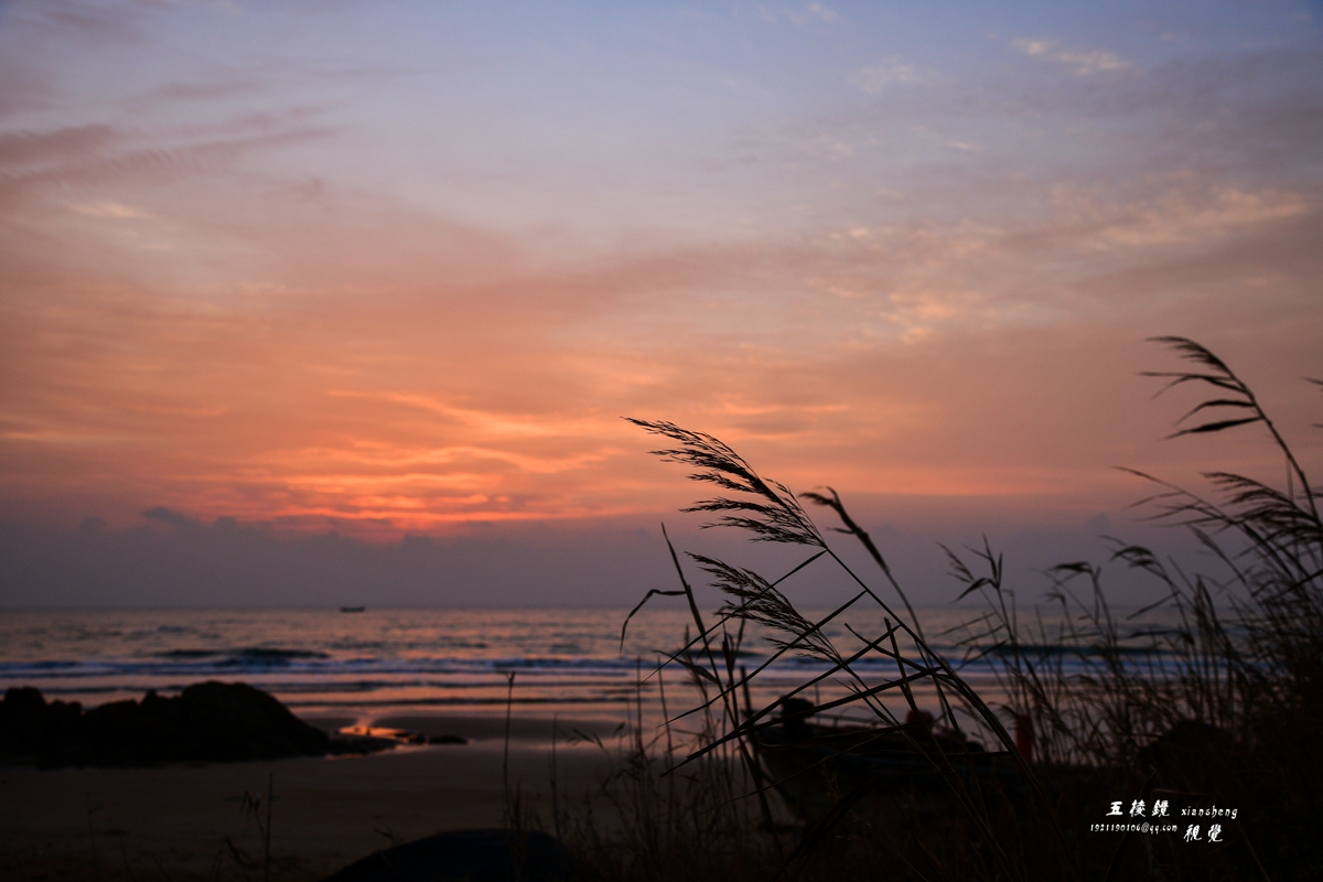DSC_5786.JPG
