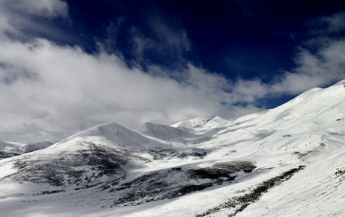 _DSC0372.JPG