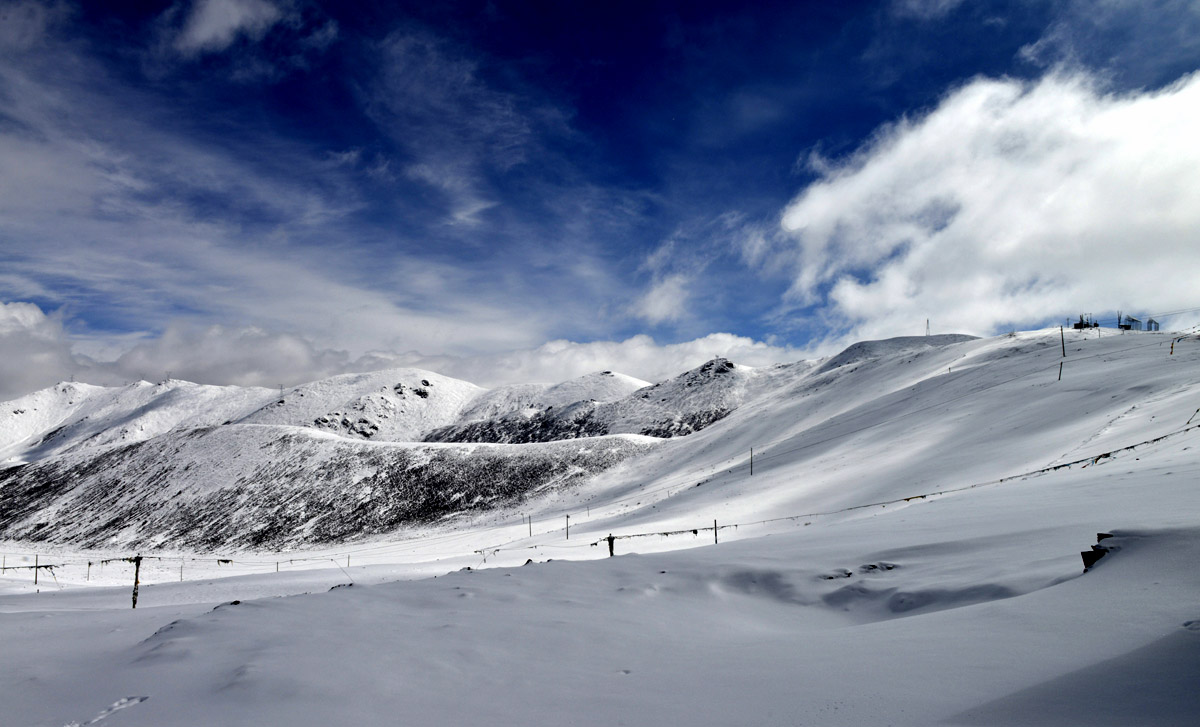 _DSC0374.JPG