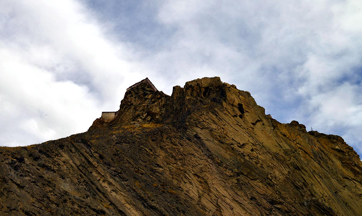 _DSC0537.JPG
