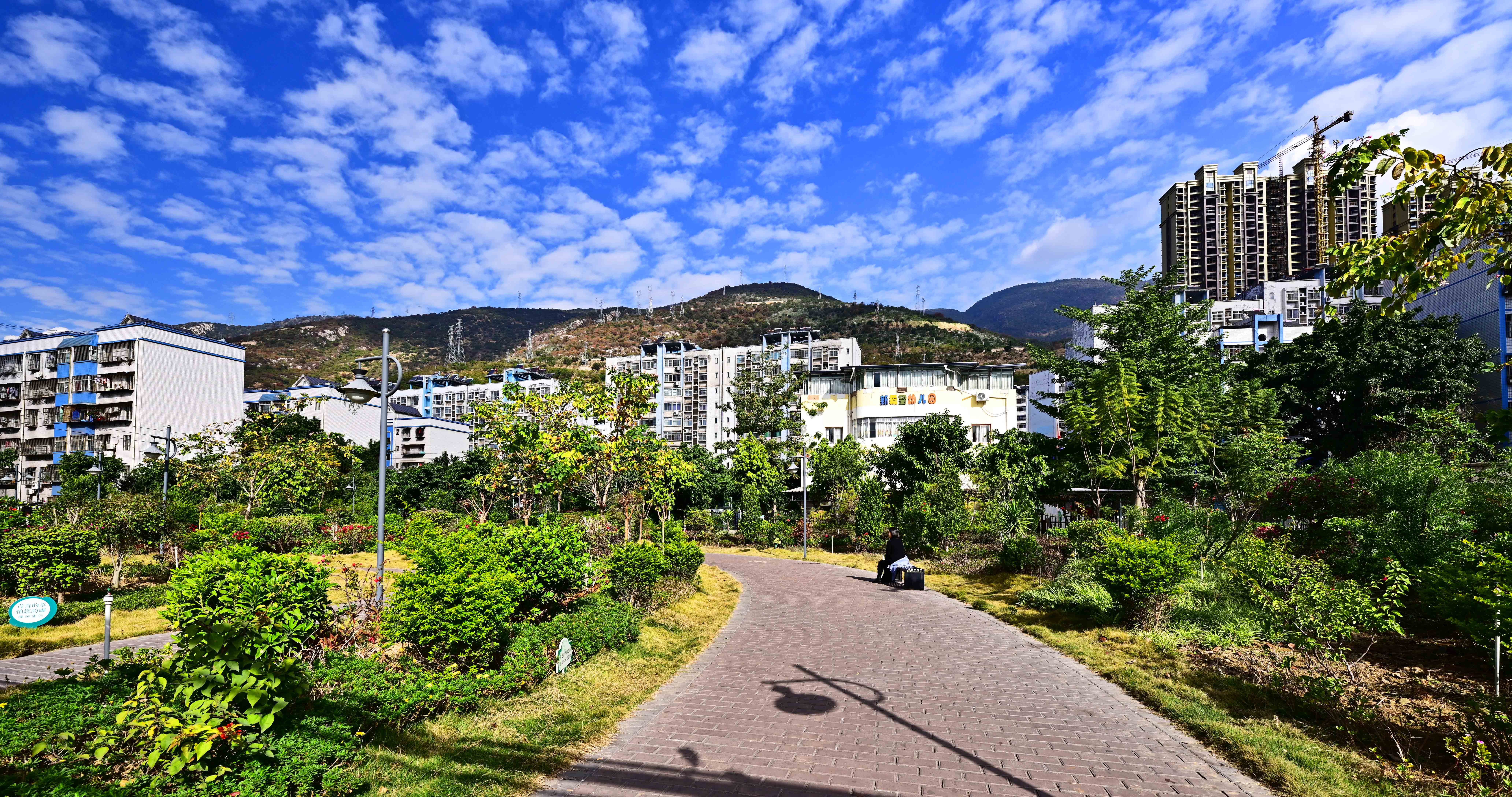 DSC_8008.jpg