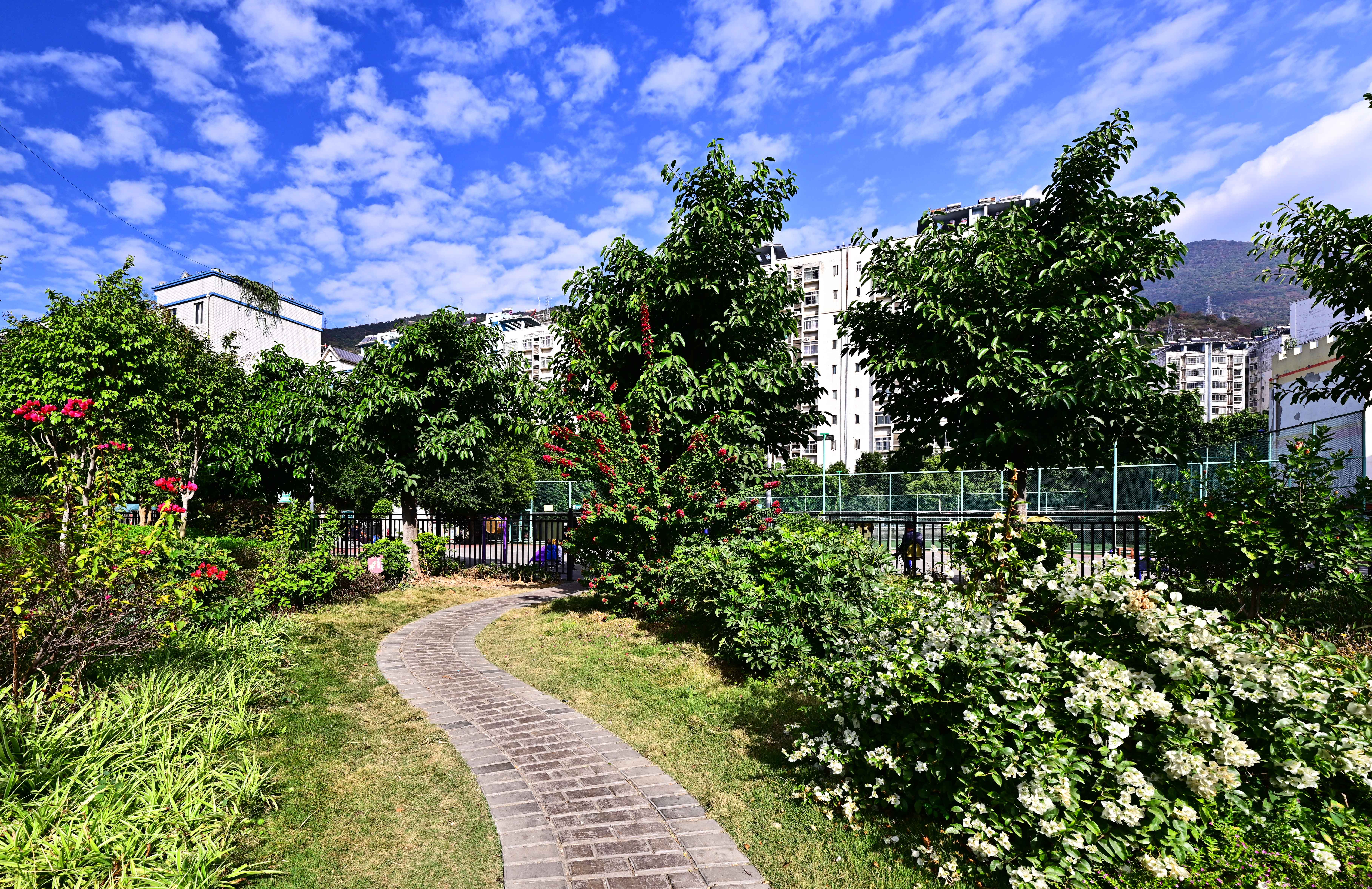 DSC_8011.jpg