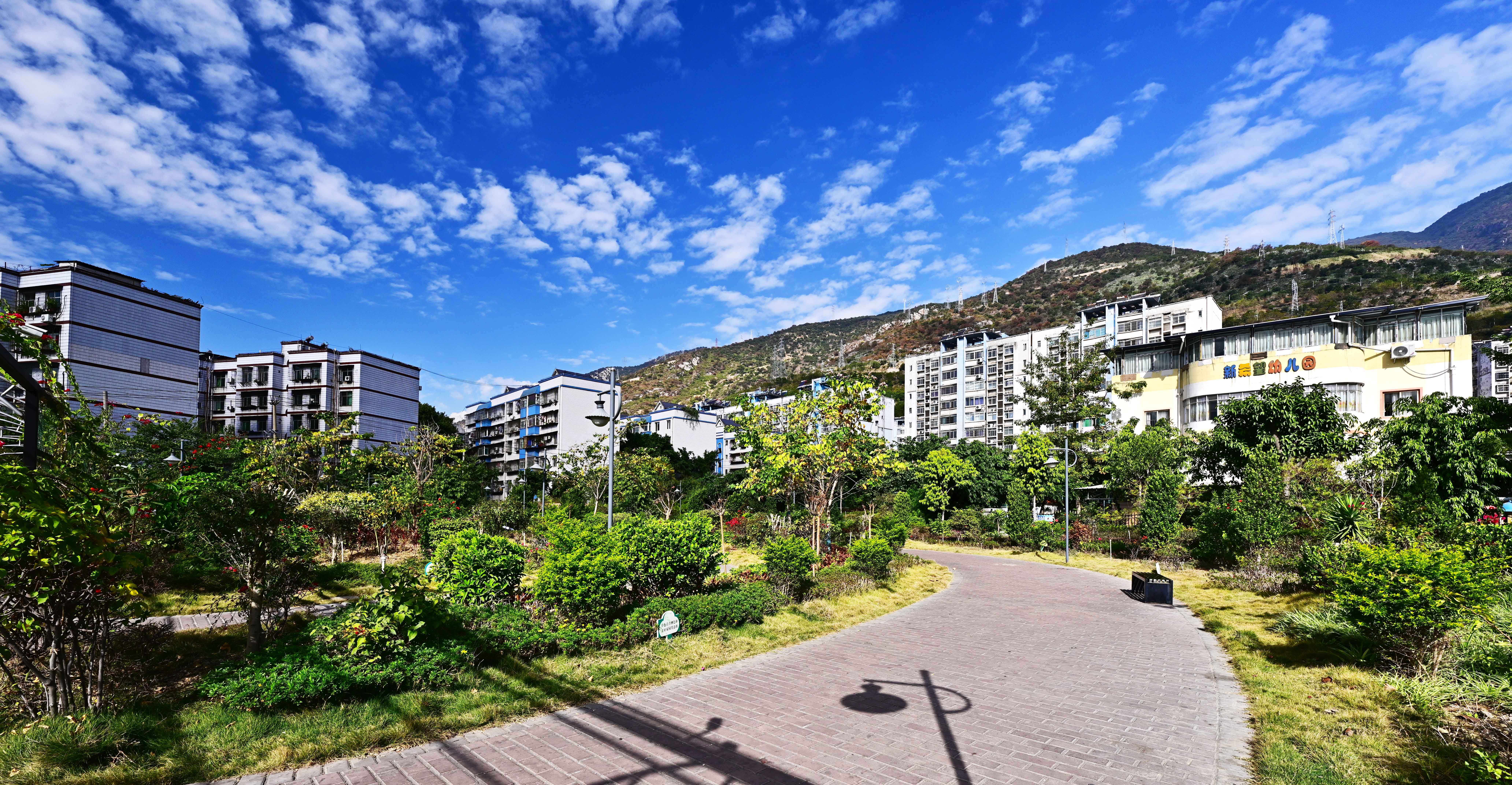 DSC_8023.jpg