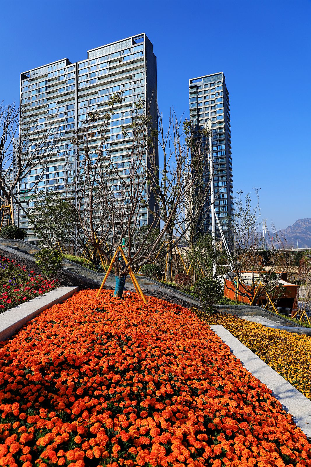 IMG_8279_副本.jpg
