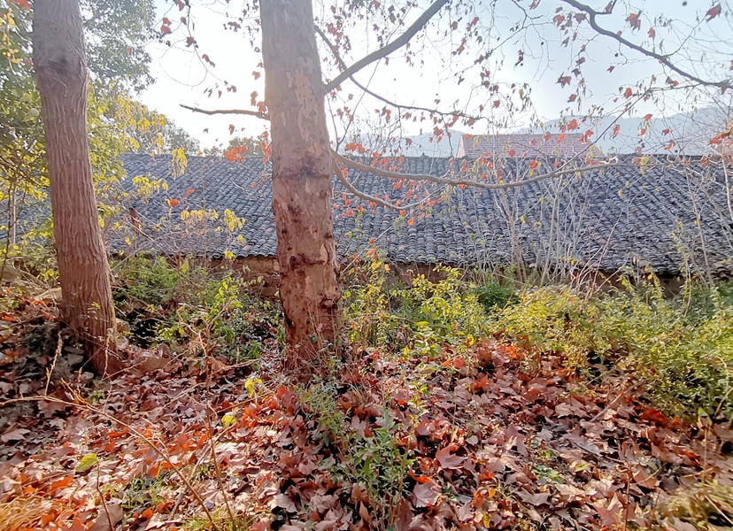 IMG_20211219_160659_副本.jpg