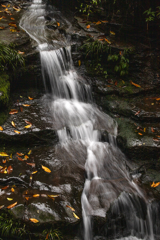 IMG_6787.jpg