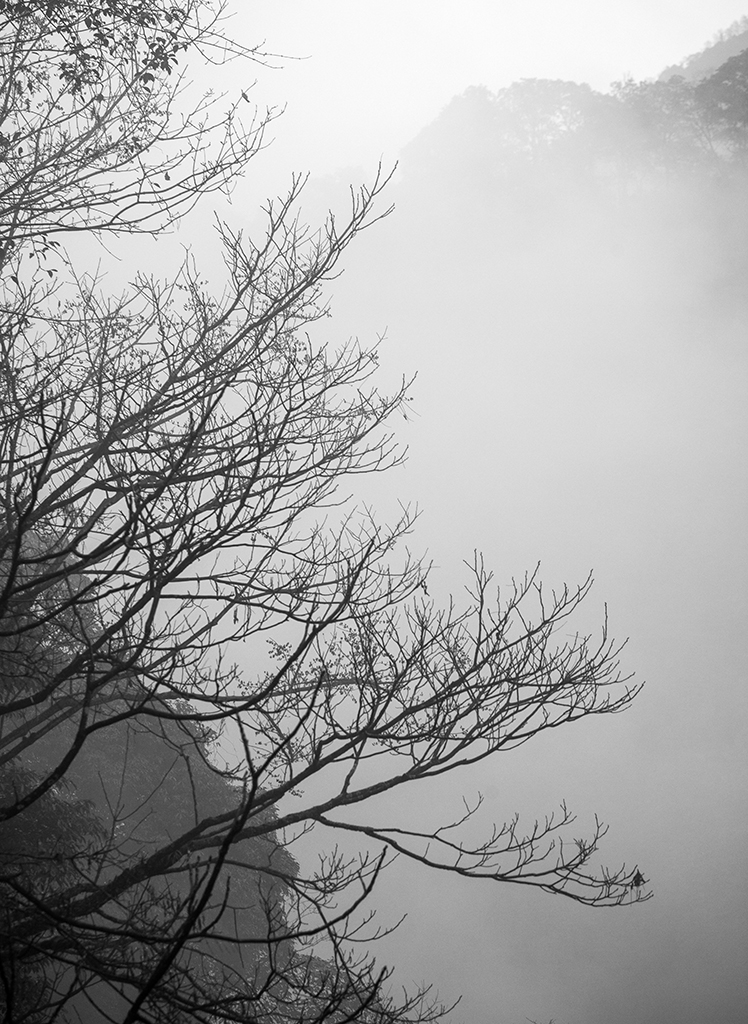 IMG_6792.jpg