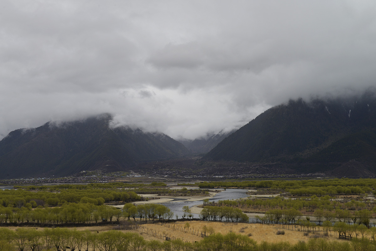 _DSC0746.JPG