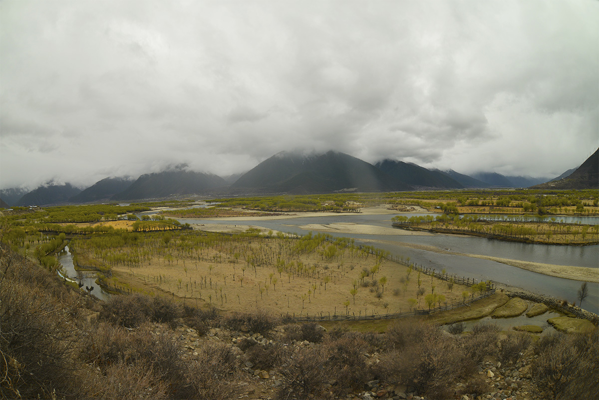 _DSC0778.JPG