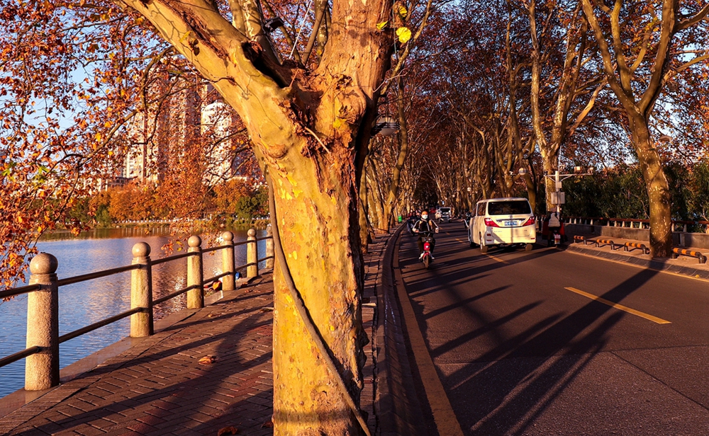 5N2A9489_1.jpg