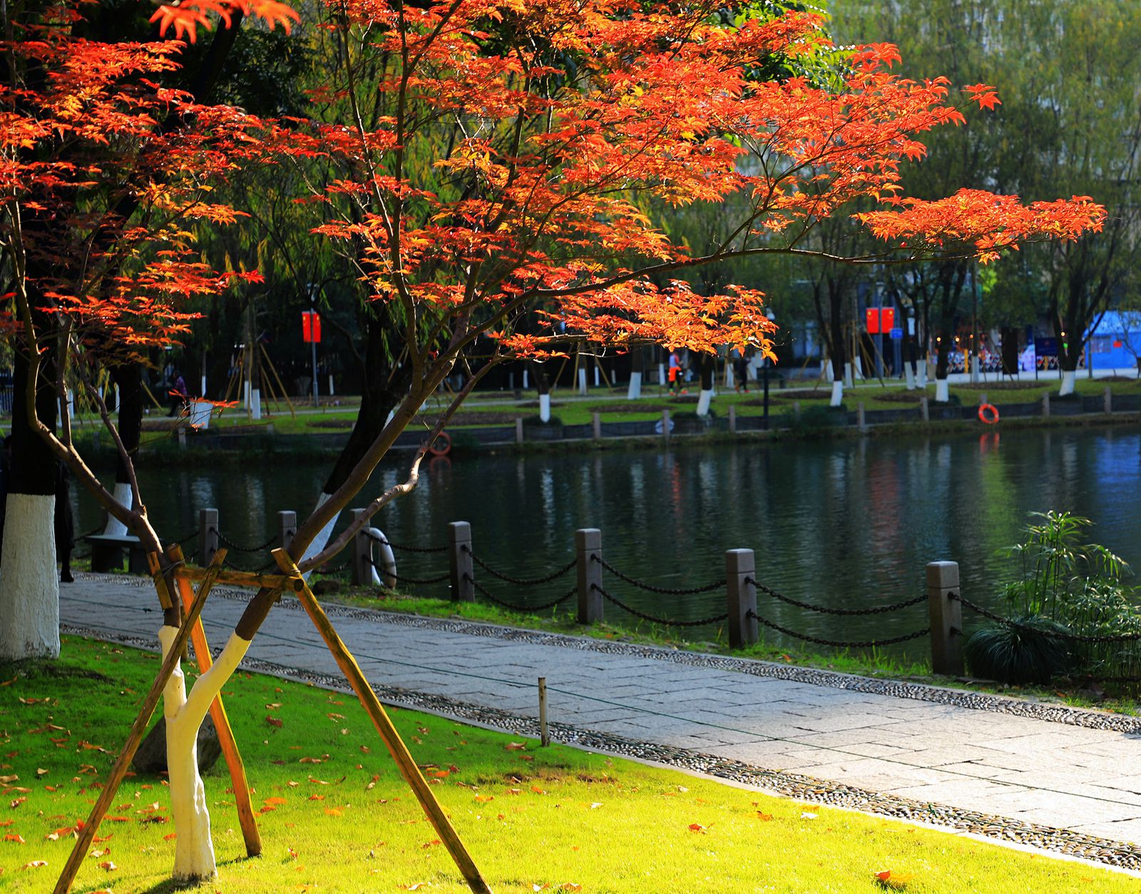 IMG_8914_副本.jpg