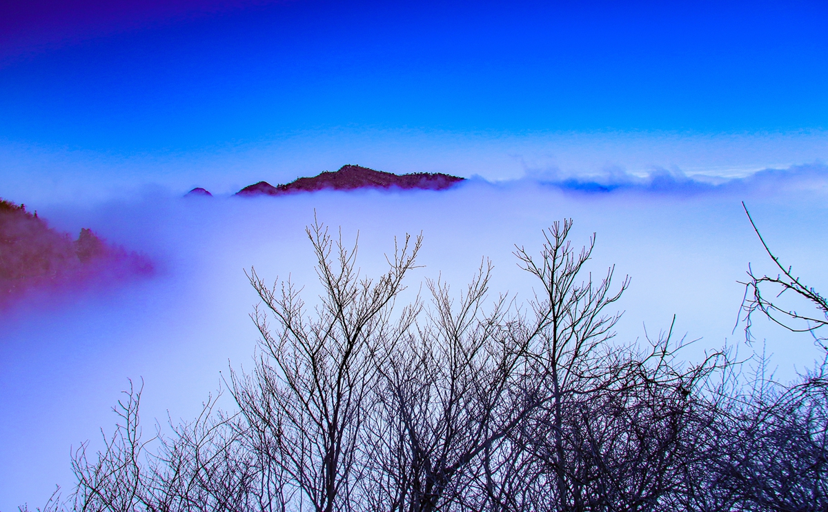 587A6039_1.jpg