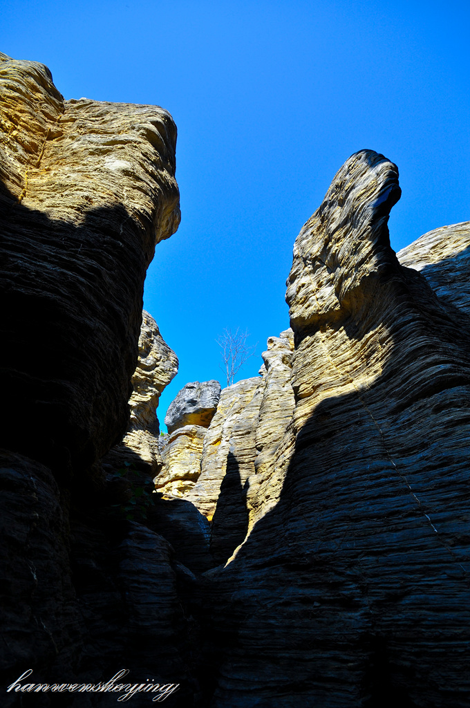 DSC_0045.JPG