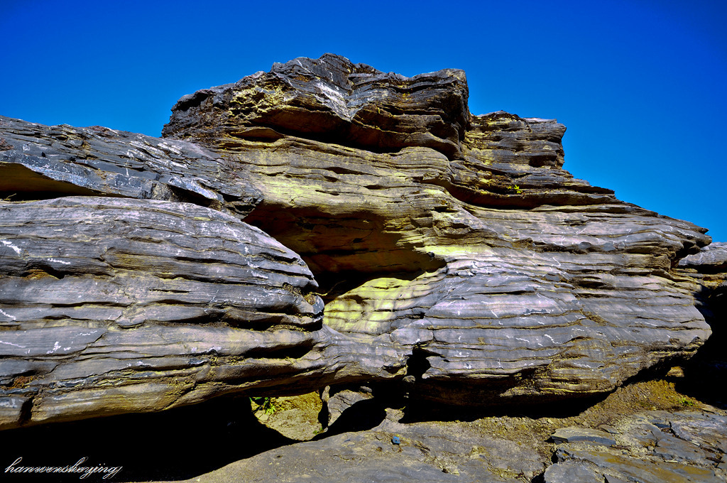 DSC_0042.JPG