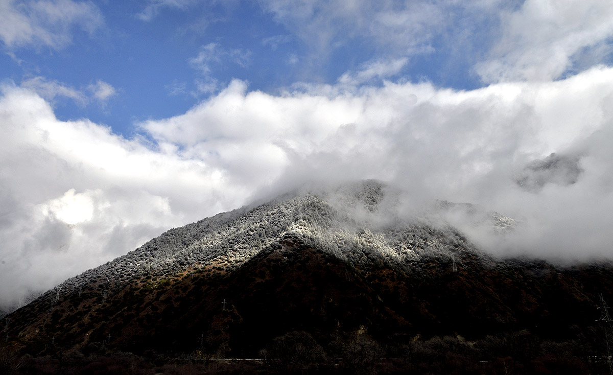 _DSC0245.JPG