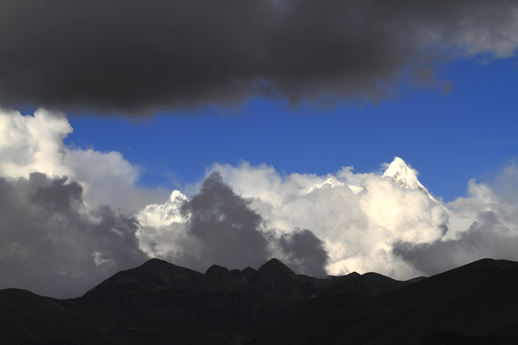 _MG_99083.JPG