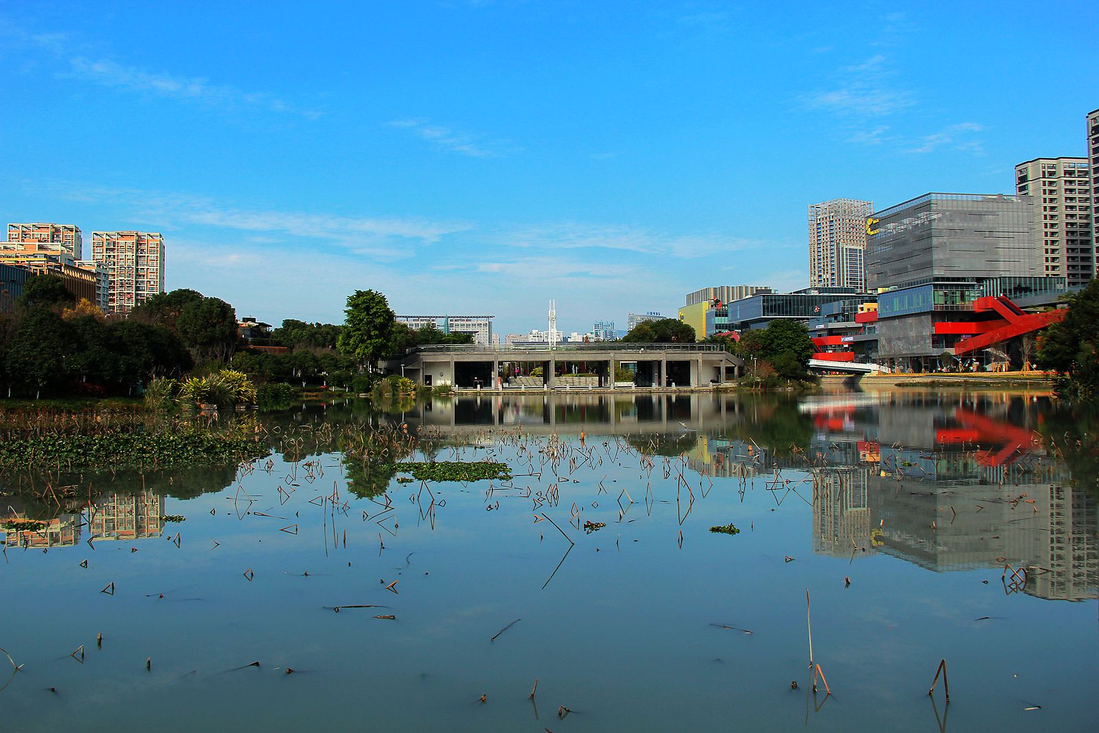 IMG_6994_副本.jpg
