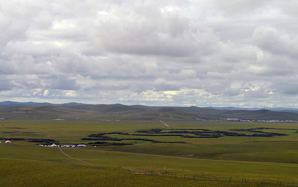 _DSC0599.JPG