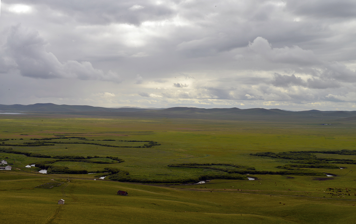 _DSC0593.JPG