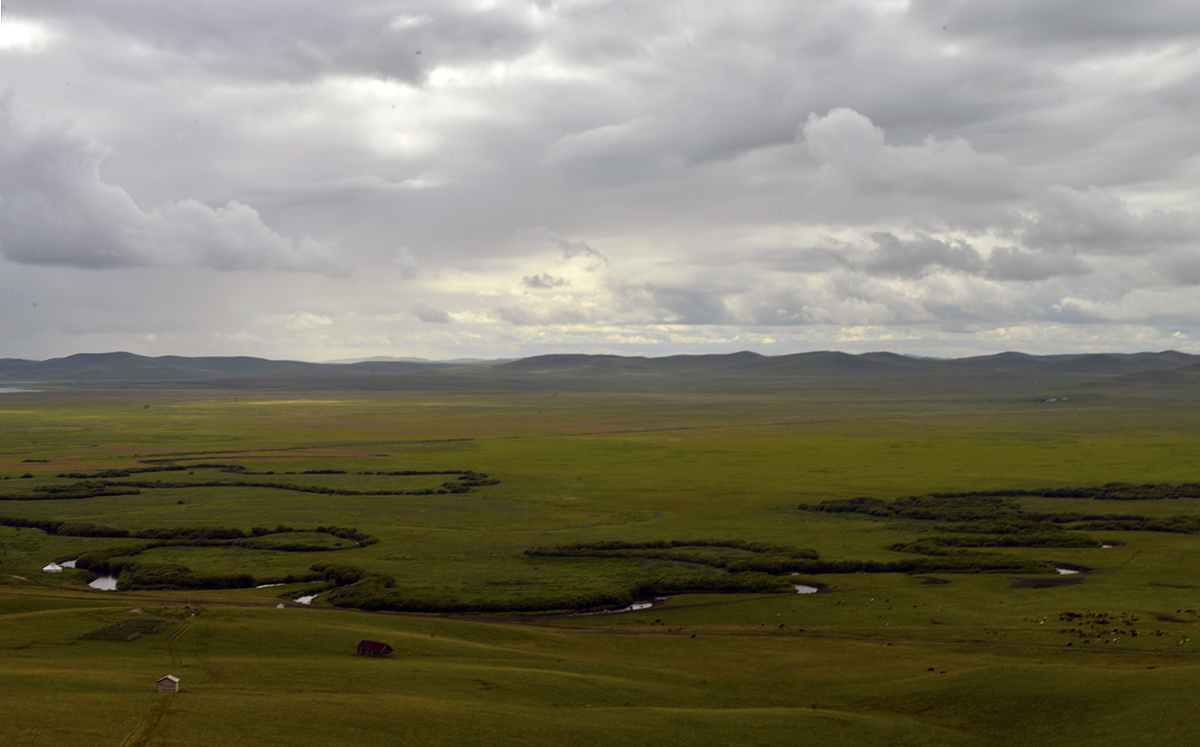 _DSC0586.JPG