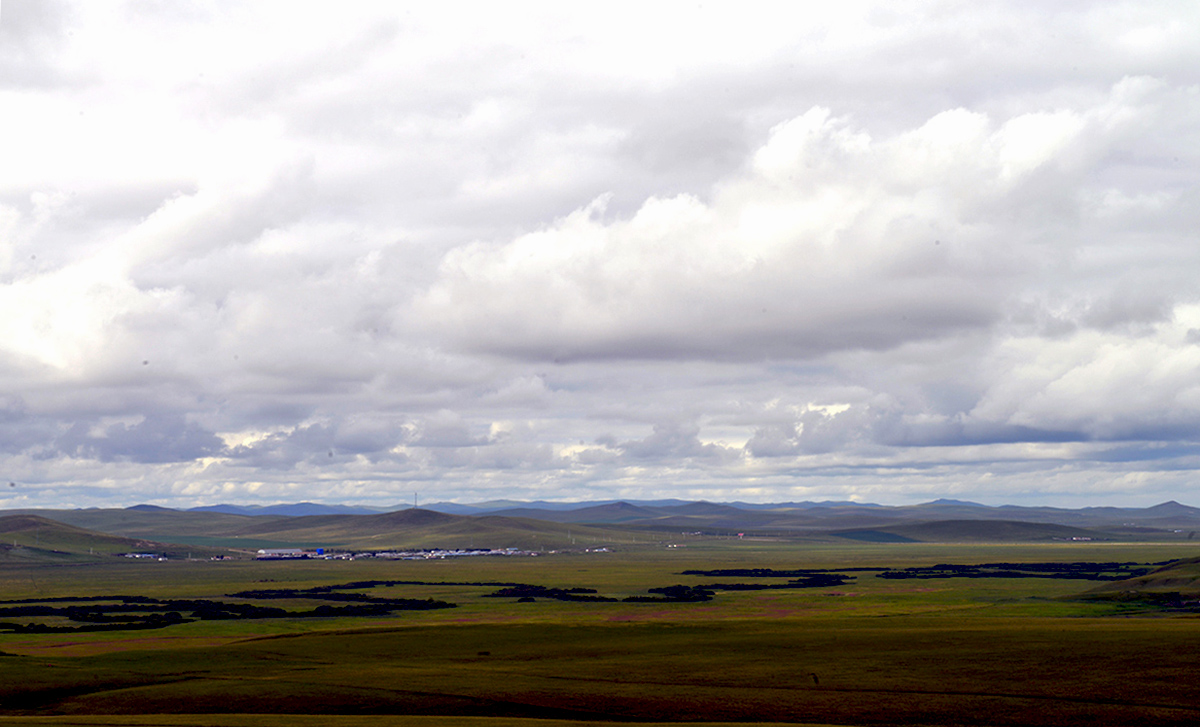 _DSC0530.JPG