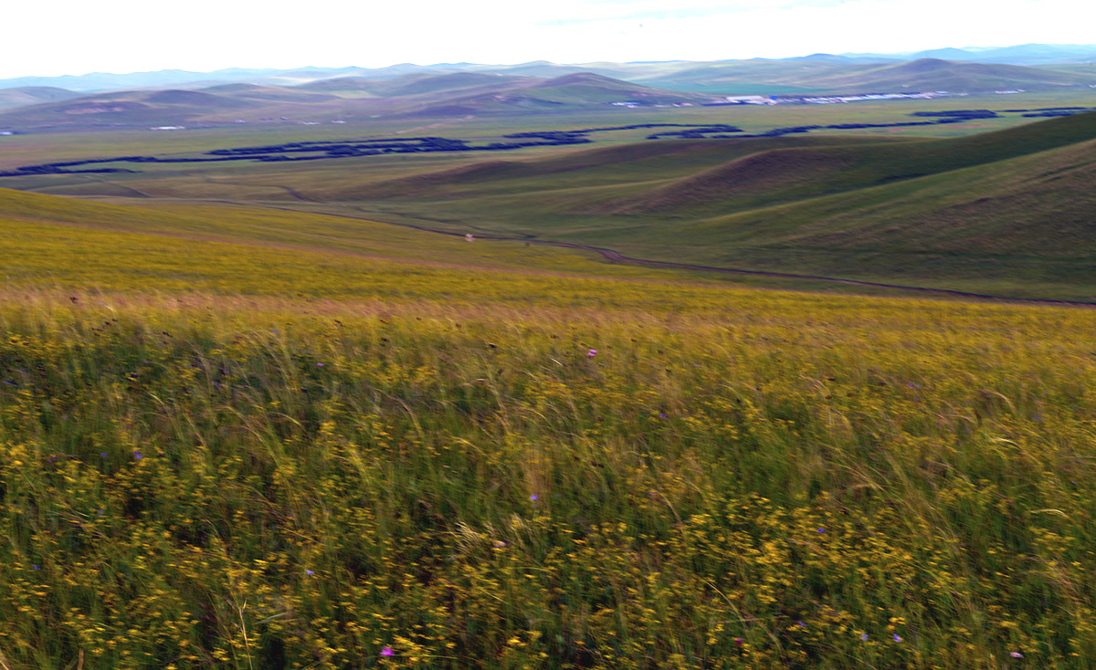 _DSC0496.JPG