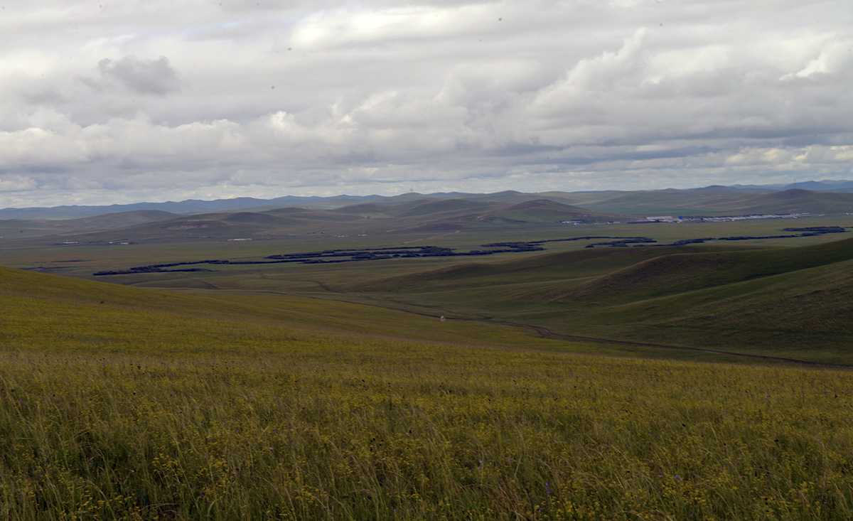 _DSC0477.JPG