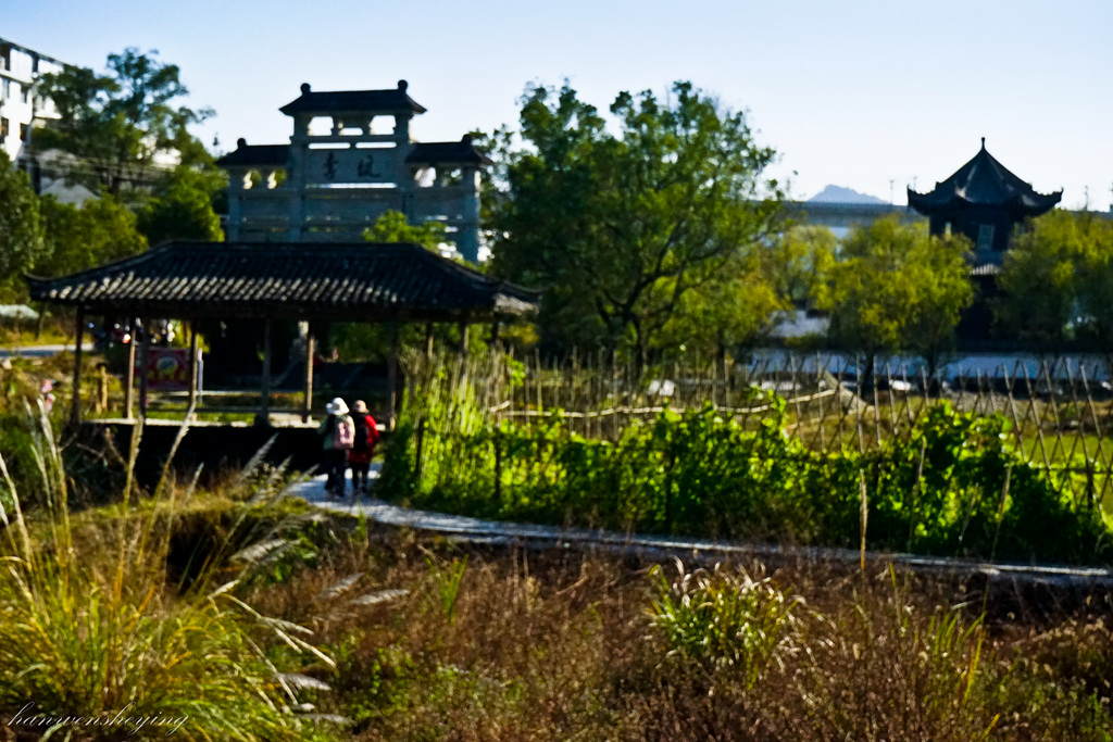 DSC04347.JPG