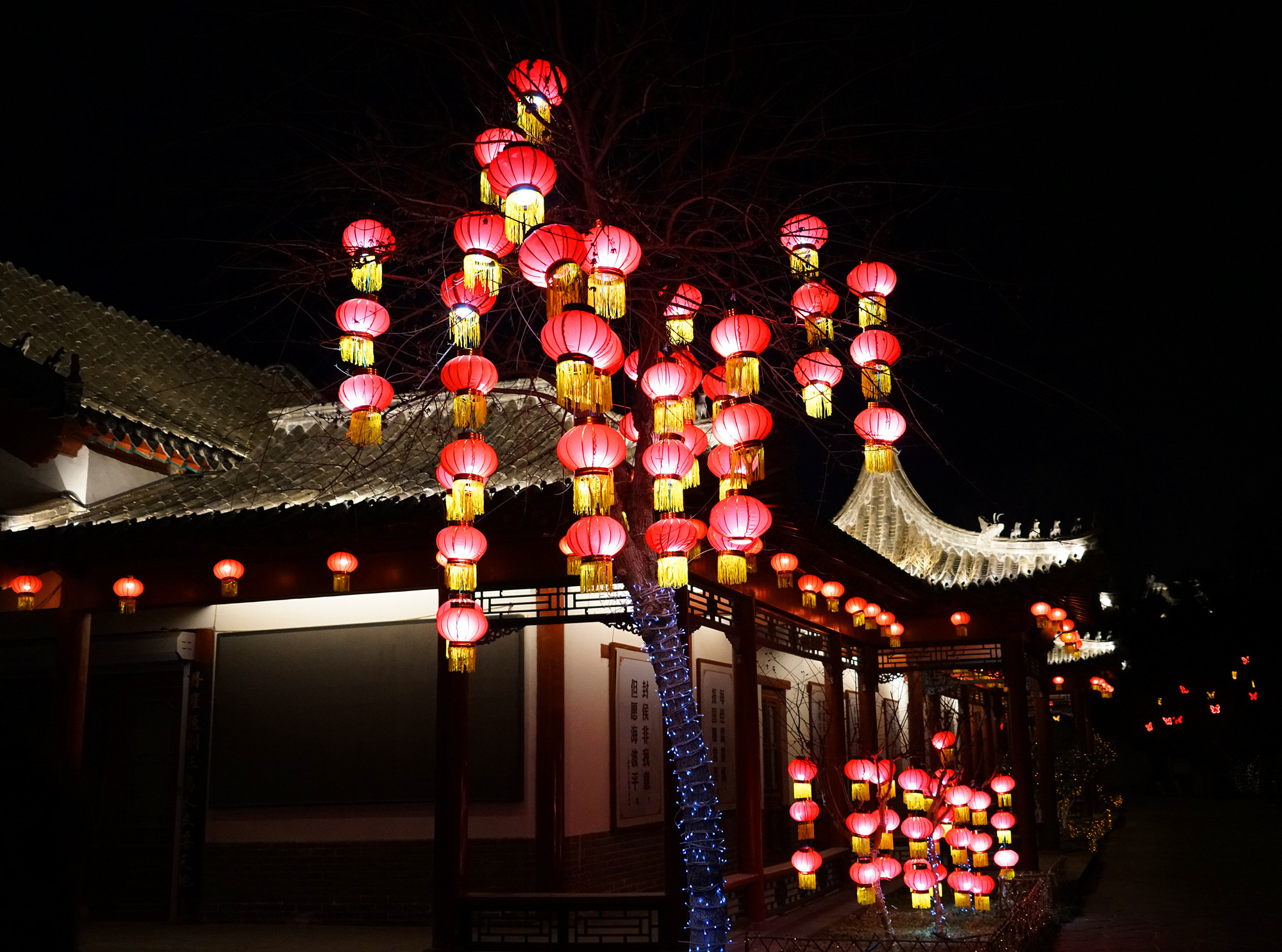DSC05395_副本_副本.jpg