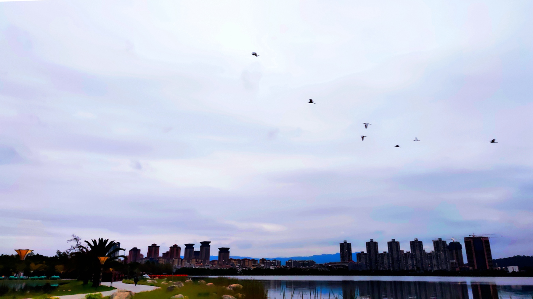 IMG_20211130_072906_副本.jpg
