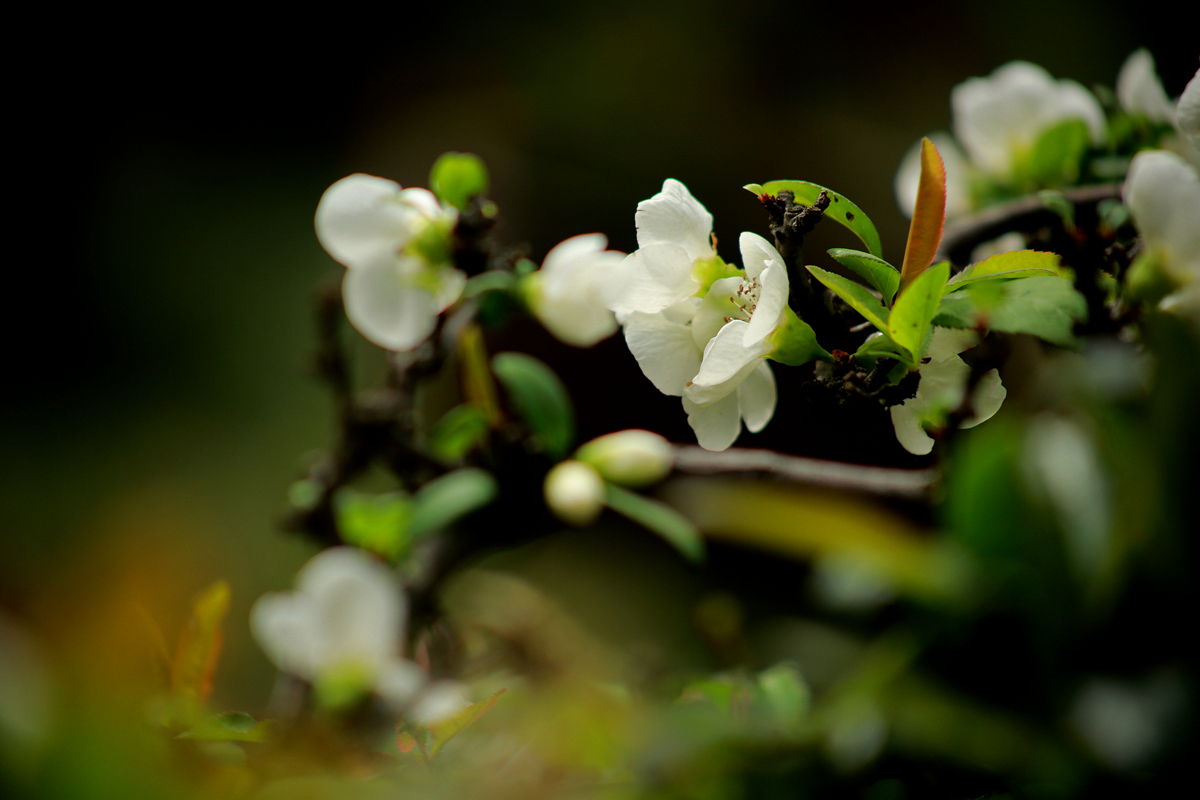 FU2A0441.JPG