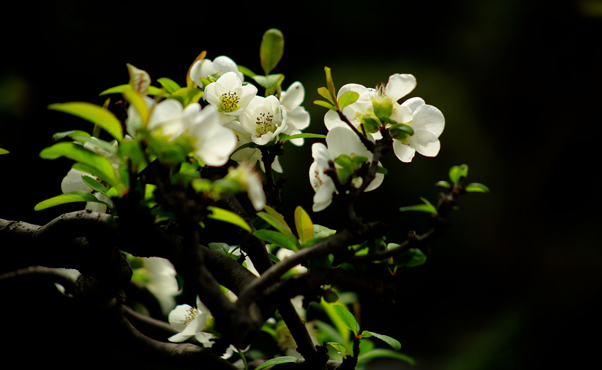 FU2A0437.JPG