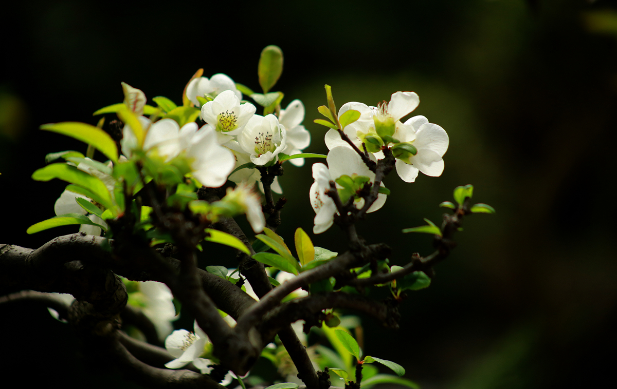 FU2A0438.JPG