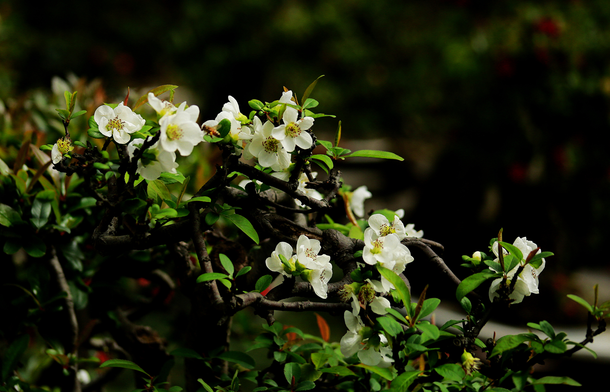 FU2A0449.JPG