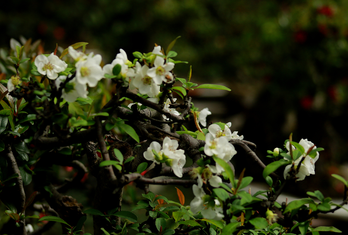 FU2A0448.JPG