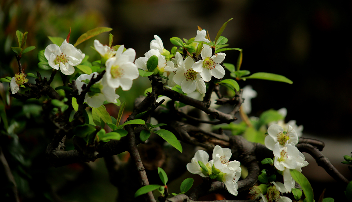 FU2A0488.JPG