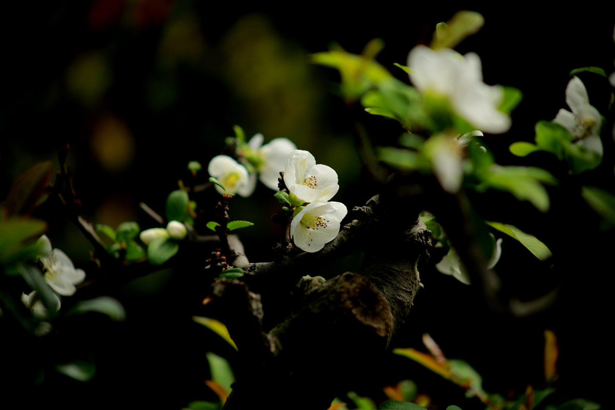 FU2A0487.JPG