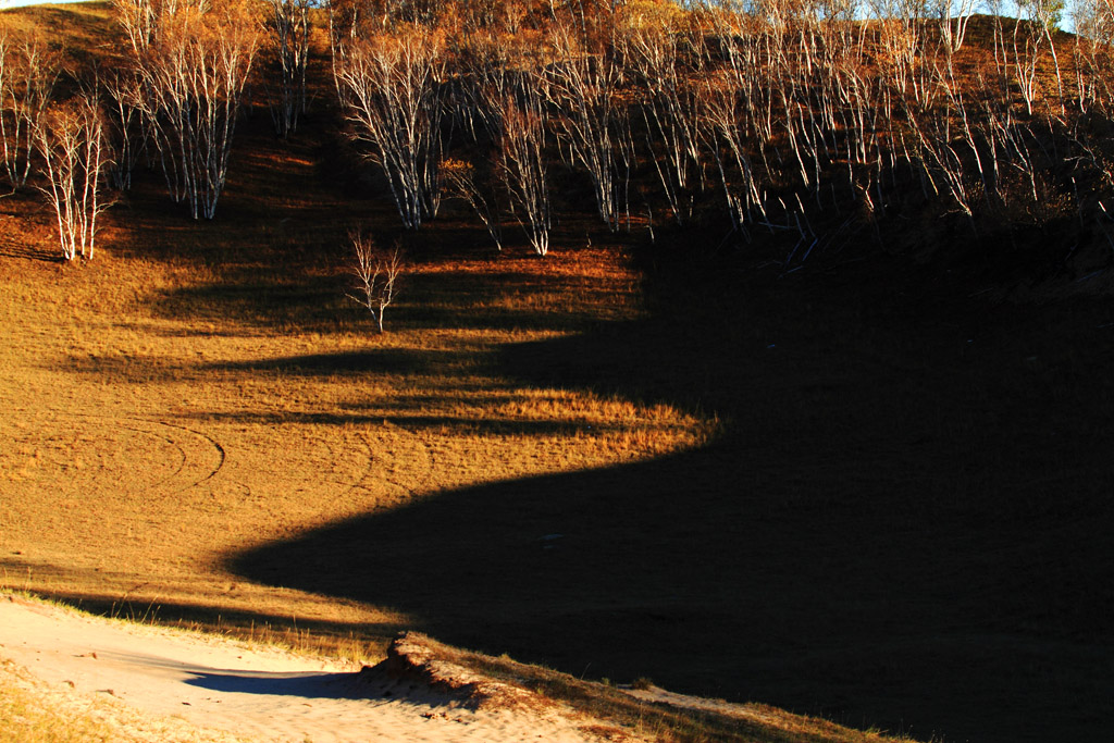 _MG_3780.JPG