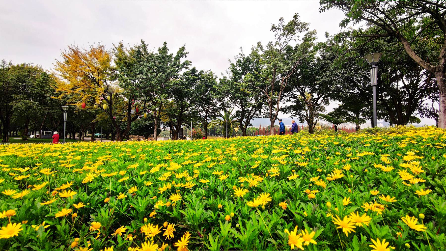 IMG_20211203_102459_副本.jpg
