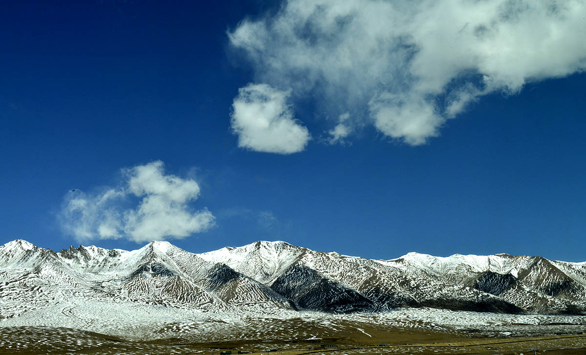 _DSC0295.JPG