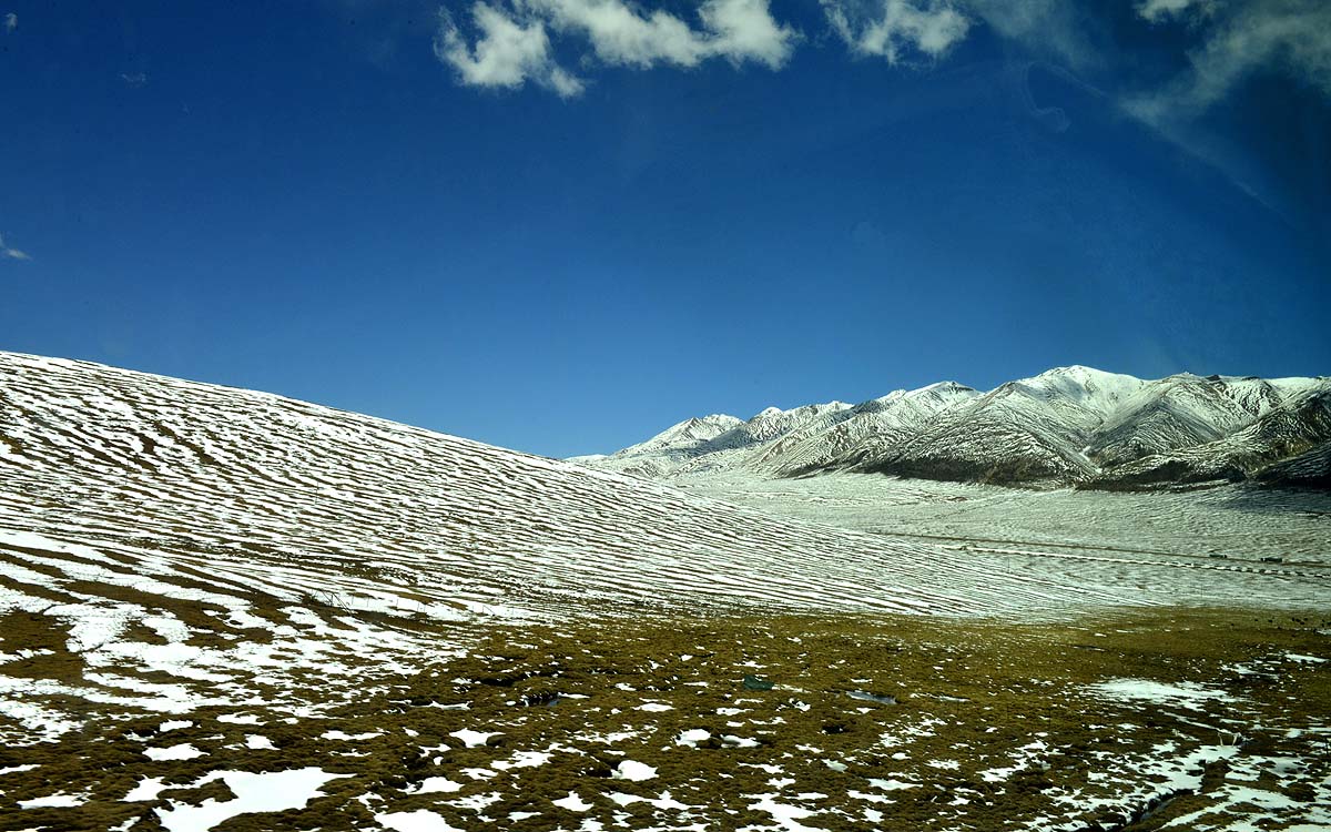 _DSC0299.JPG