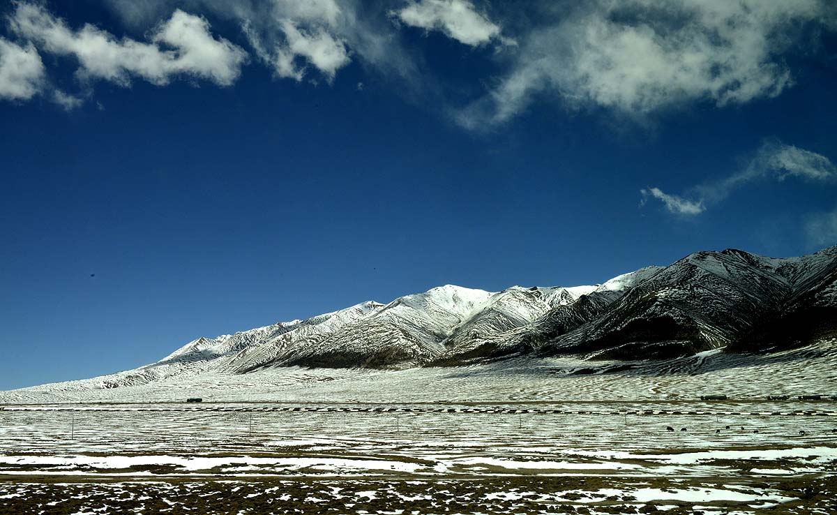 _DSC0303.JPG